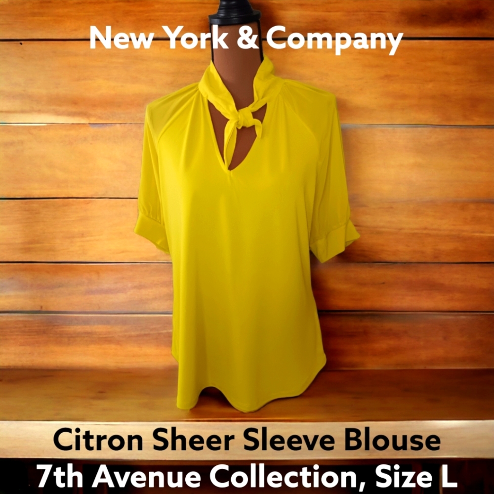 2/$50 New York & Company 7th Avenue Collection Citron Sheer Short Sleeve Top, L